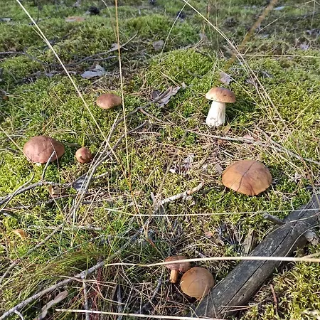 Apartmán Pod Kotwica