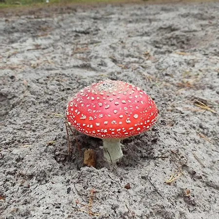 Pod Kotwica Устка