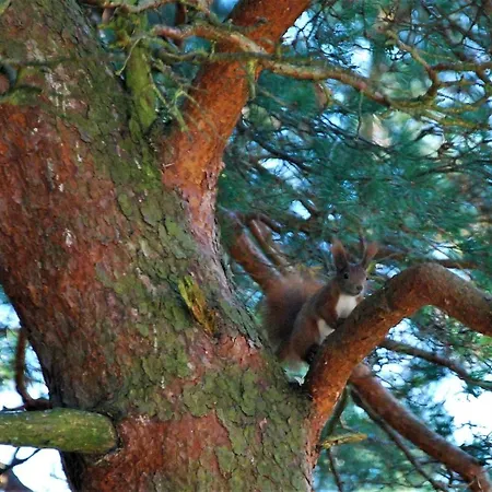 Pod Kotwica Apartamento