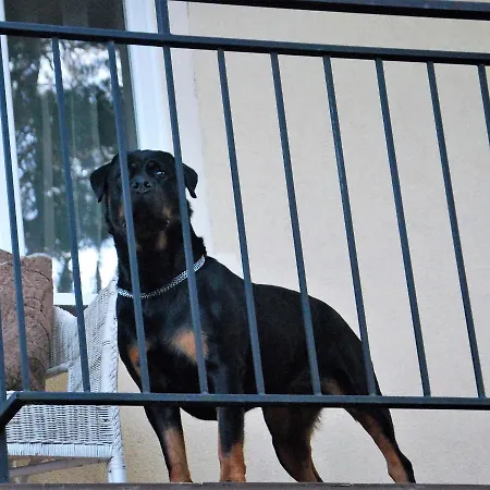 Lejlighed Pod Kotwica