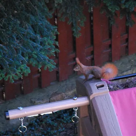 Lejlighed Pod Kotwica