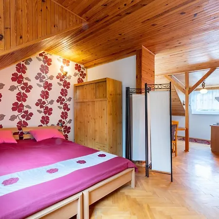 Pod Kotwica Apartmán