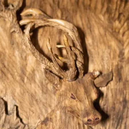 Pod Kotwica Apartamento Ustka