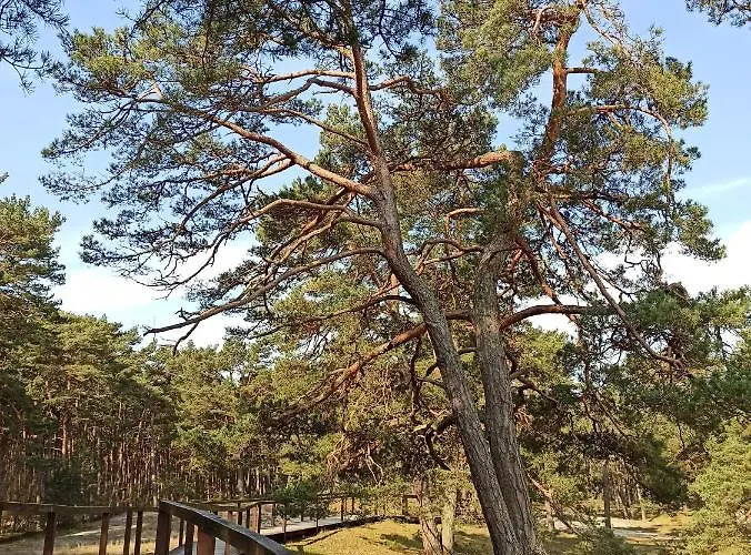 Pod Kotwica Апартаменты Устка