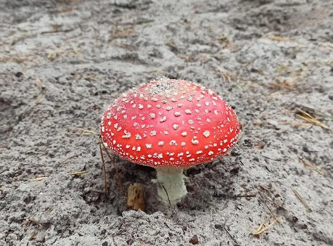 Pod Kotwica Устка