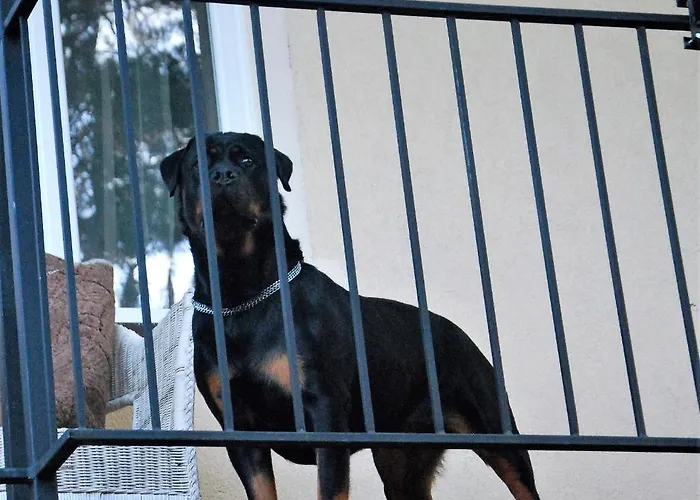 Апартаменты Pod Kotwica