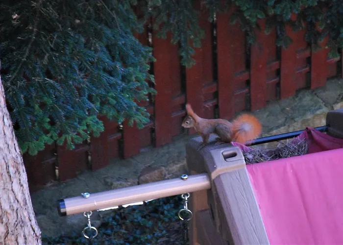 Апартаменты Pod Kotwica