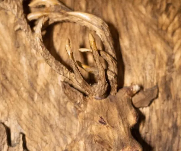 Pod Kotwica Апартаменты Устка