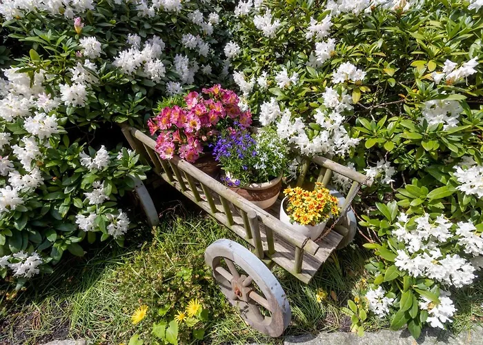 Pod Kotwica * Устка